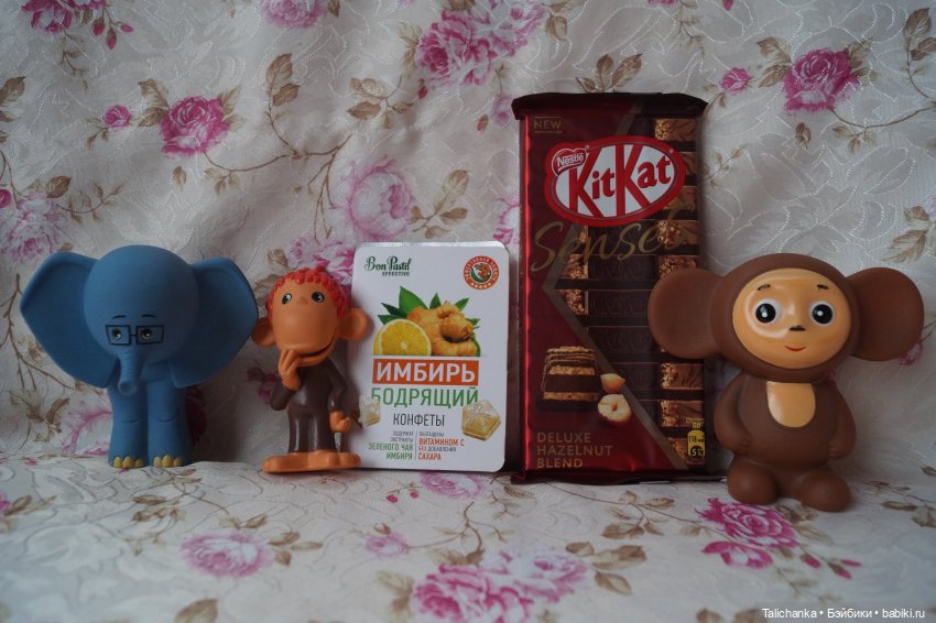 Посылочка — Игровые куклы разных производителей (Разное): редкие бренды (фото 3)