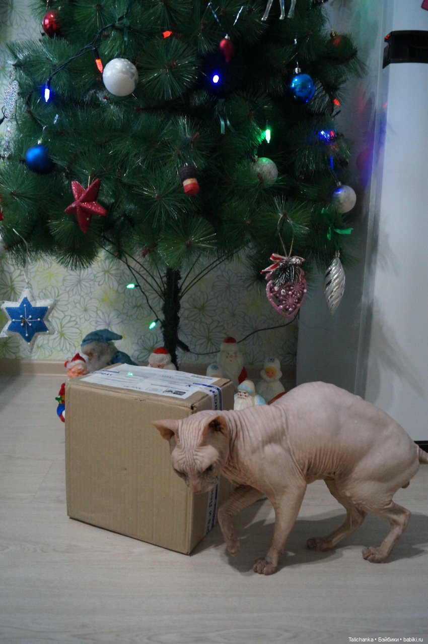 Посылочка под ёлочкой — Игрушки СССР и советского детства: резиновые