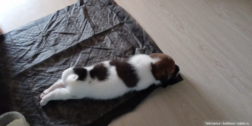 Четвёртая выписка мая. Заглаживаем покусы ножек паяльником. Доктор Плюшева работает не покладая рук. Приводим в порядок