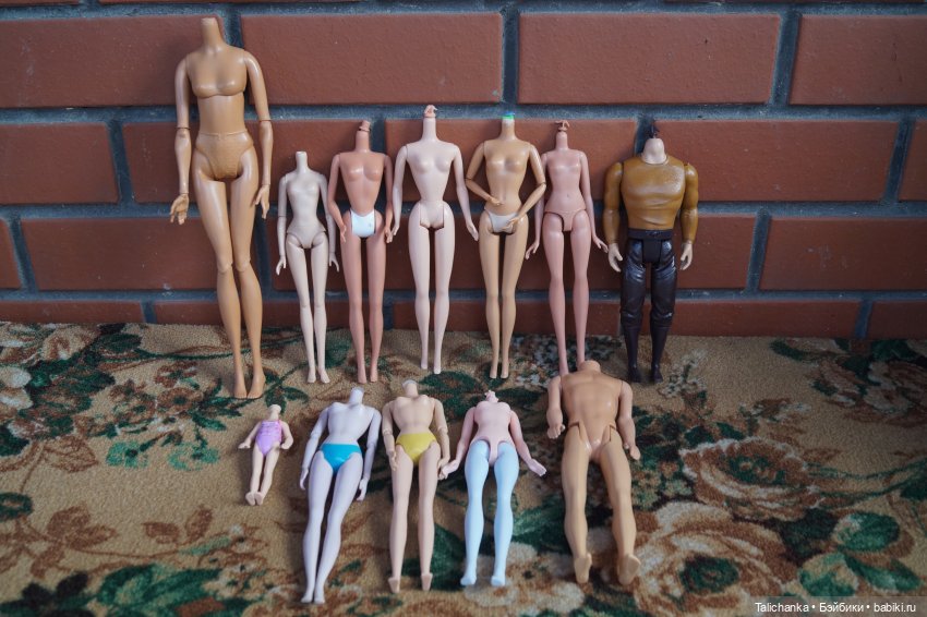 Посылочка с новыми жителями и новыми пациентами (фото 4)