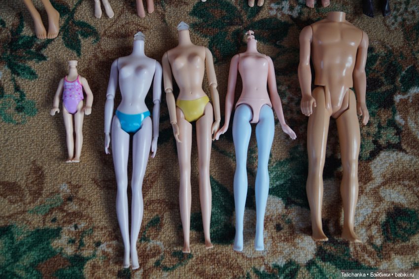 Посылочка с новыми жителями и новыми пациентами (фото 5)