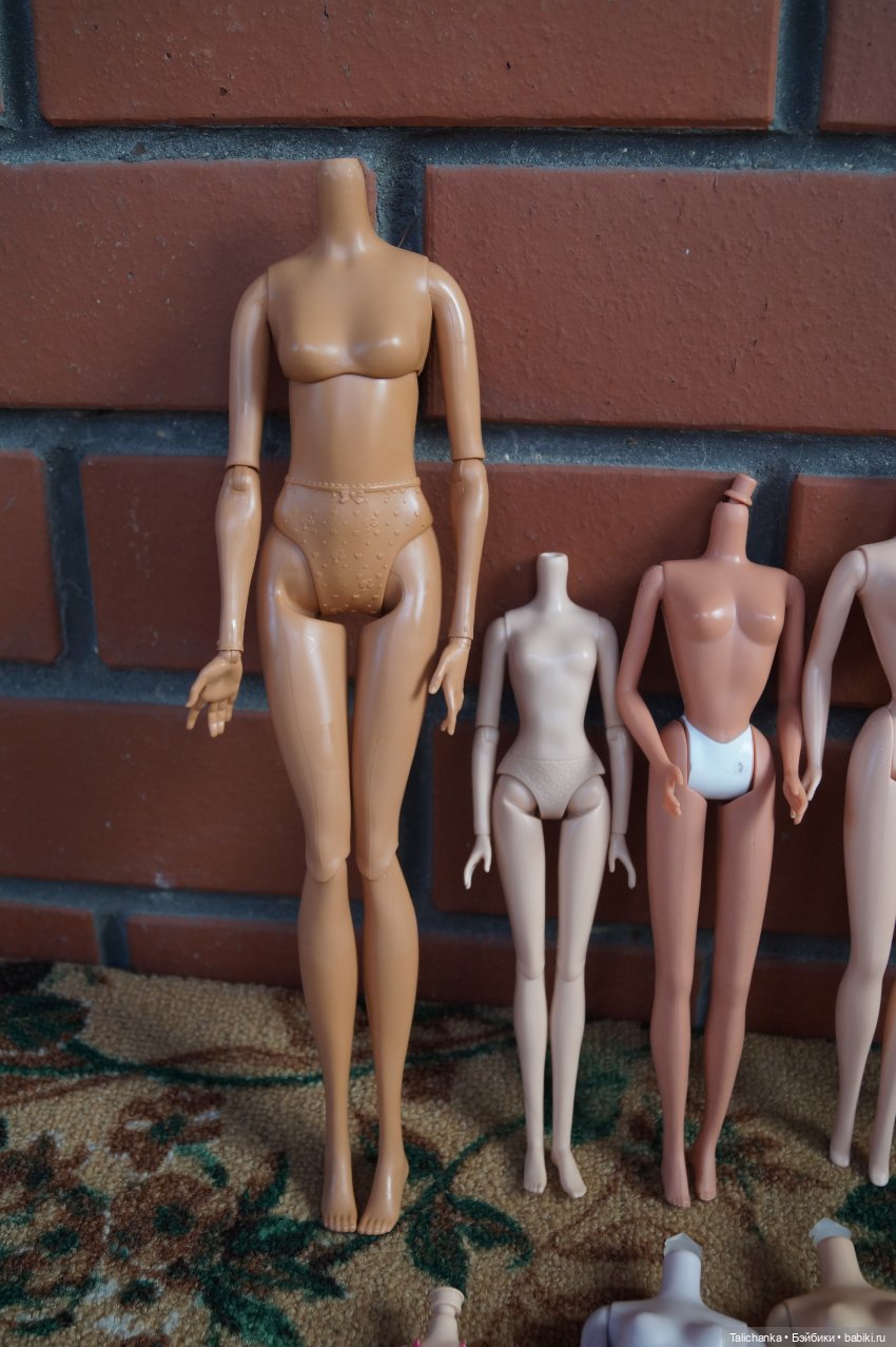 Посылочка с новыми жителями и новыми пациентами (фото 7)