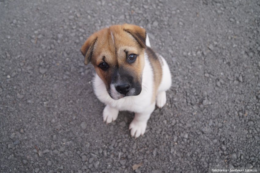 Четвёртая выписка июня. Паяем разбитое тело с утратами. Полная прошивка+завивка. Как починить шейный шарнир. Чем снять