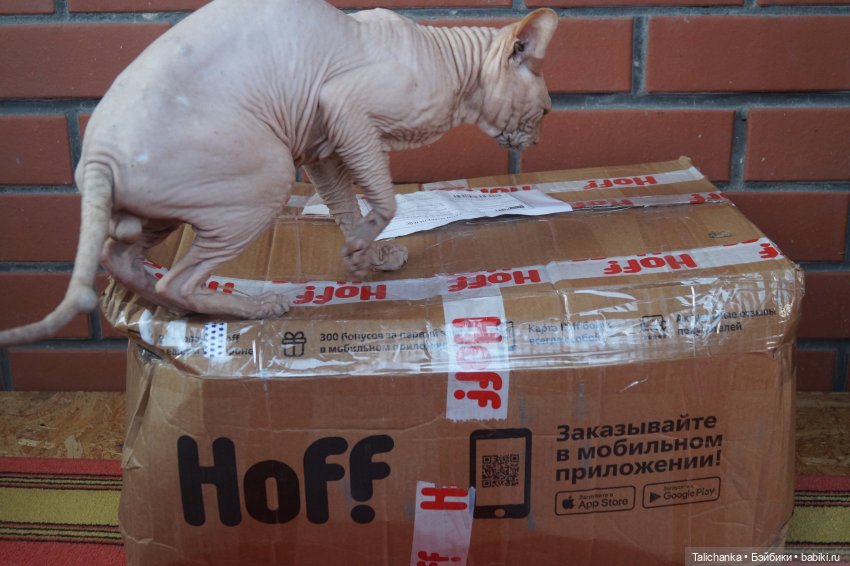 Пока я отдыхала, ко мне пришла посылочка