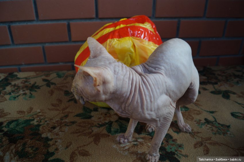 На этой неделе пришли две посылочки, открываем первую (фото 2)