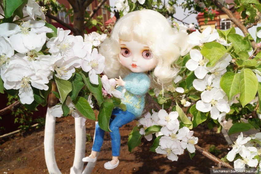 Остановилось лето на мгновенье (фото 8)