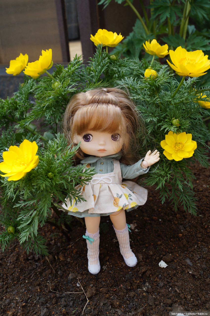 Остановилось лето на мгновенье (фото 5)