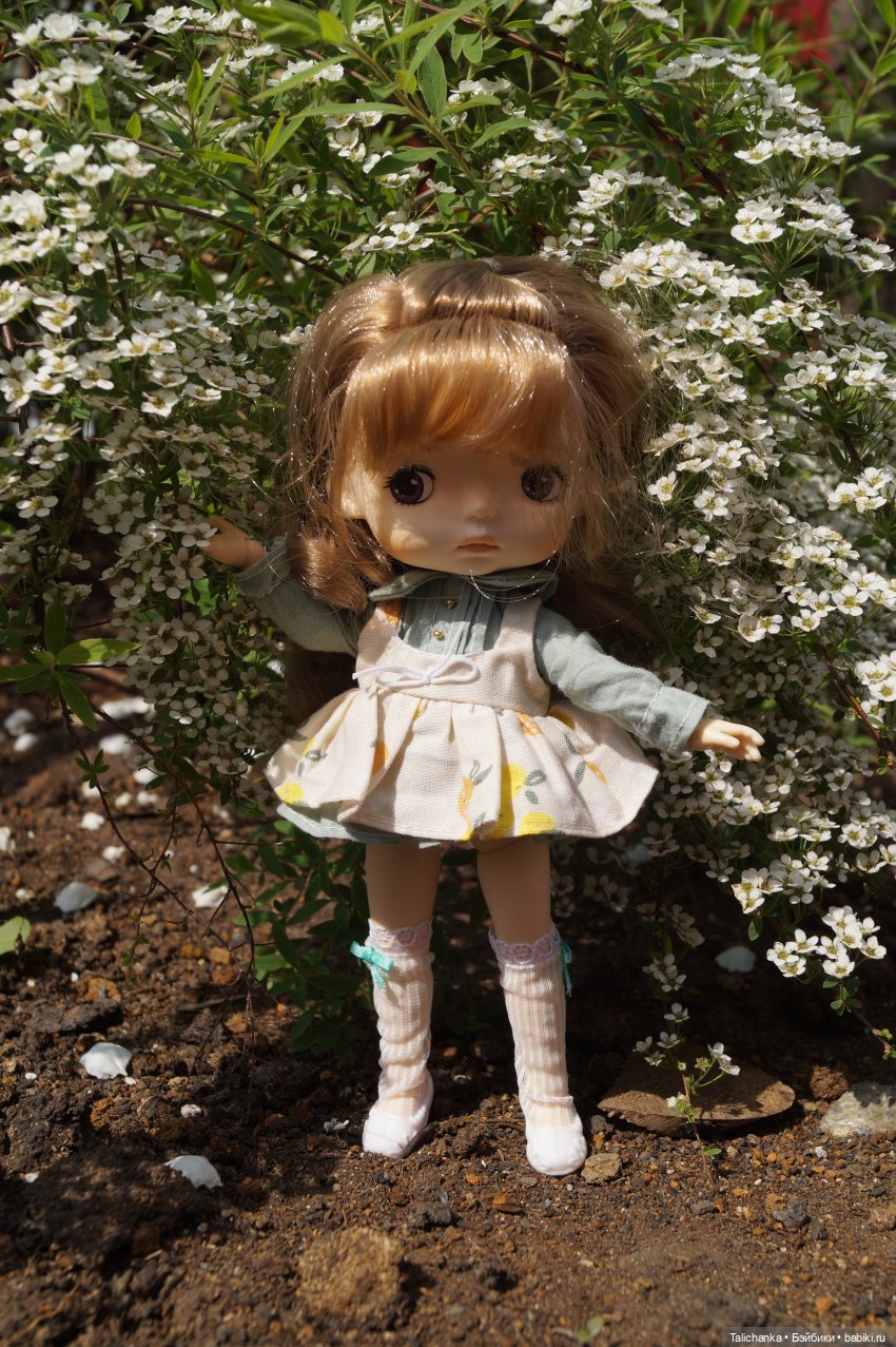 Остановилось лето на мгновенье (фото 6)