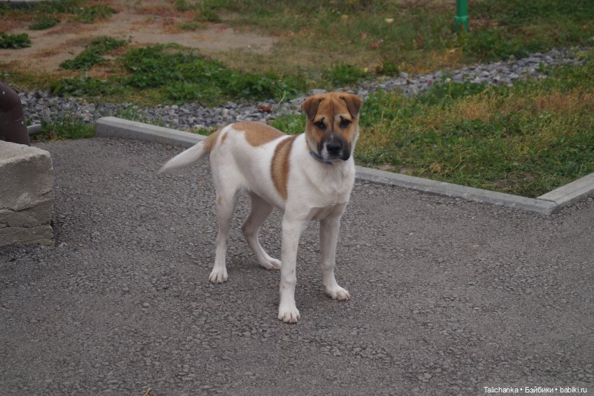 Четвёртая выписка сентября. Лечим Нэнси и возрождаем её костюм. Были головы - стали милые ляли