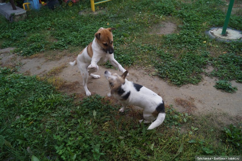 Четвёртая выписка сентября. Лечим Нэнси и возрождаем её костюм. Были головы - стали милые ляли