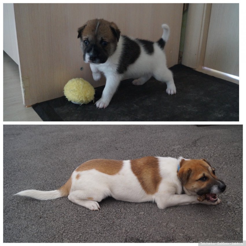 Четвёртая выписка сентября. Лечим Нэнси и возрождаем её костюм. Были головы - стали милые ляли