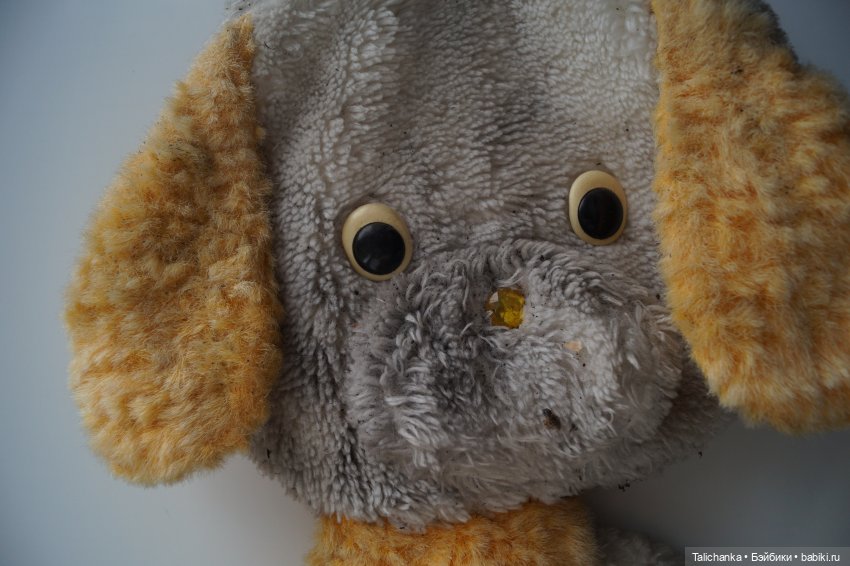 Первая выписка октября Отмываем заморашек Шьём малютку-бабочку Собачка найдёнка снова красавица (фото 4)