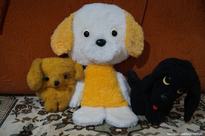 Первая выписка октября Отмываем заморашек Шьём малютку-бабочку Собачка найдёнка снова красавица