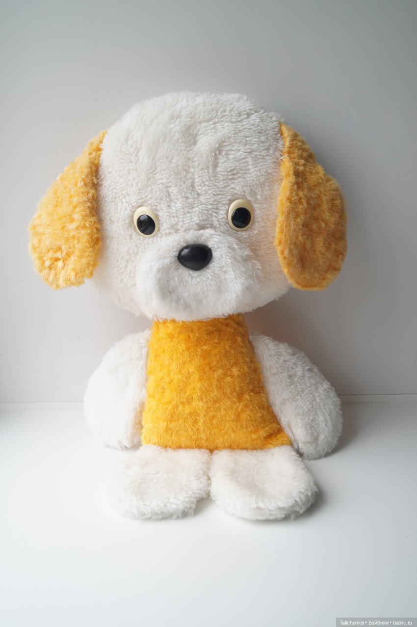 Первая выписка октября Отмываем заморашек Шьём малютку-бабочку Собачка найдёнка снова красавица