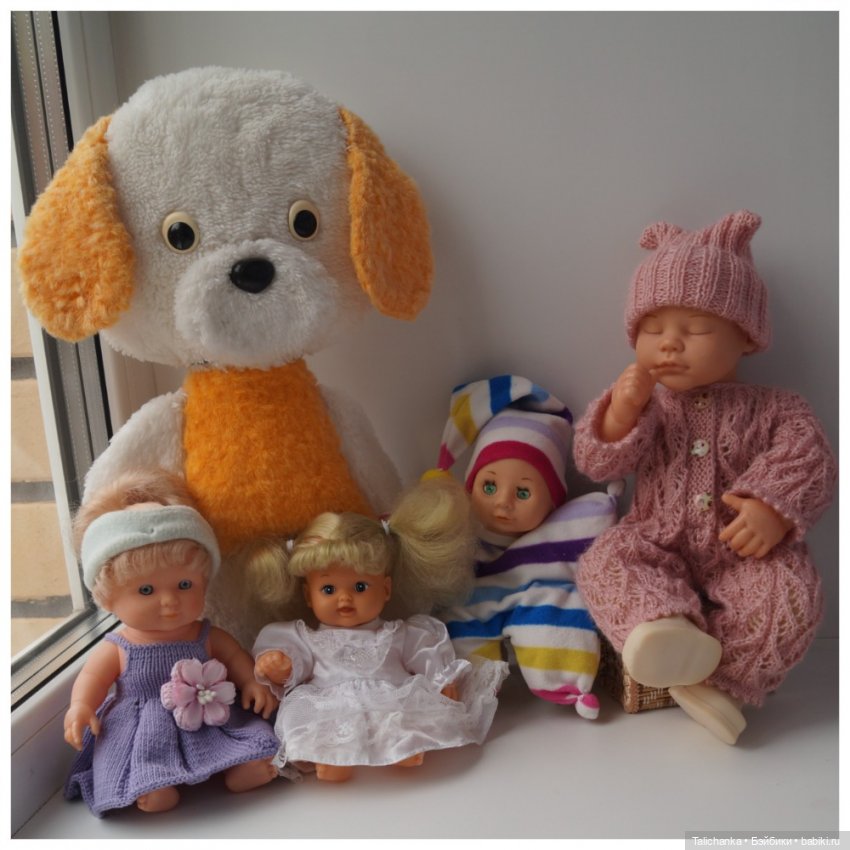 Первая выписка октября Отмываем заморашек Шьём малютку-бабочку Собачка найдёнка снова красавица