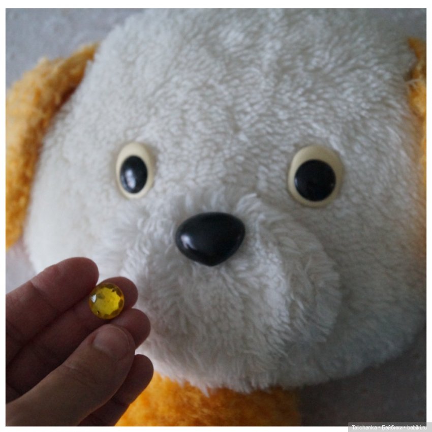 Первая выписка октября Отмываем заморашек Шьём малютку-бабочку Собачка найдёнка снова красавица