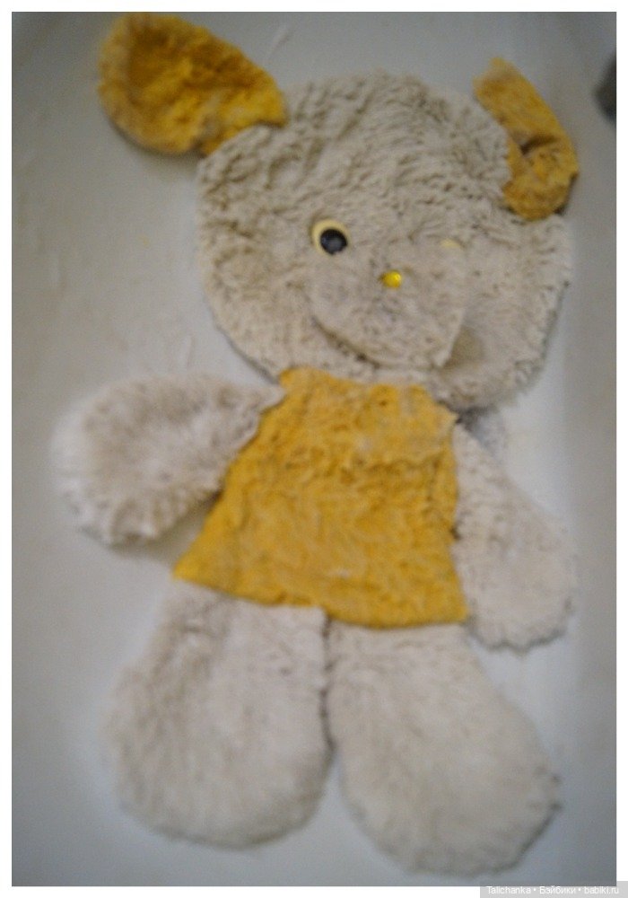 Первая выписка октября Отмываем заморашек Шьём малютку-бабочку Собачка найдёнка снова красавица (фото 8)