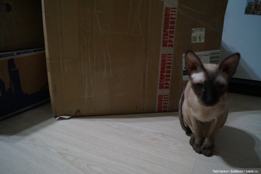 Много посылок открываем первую (фото 2)