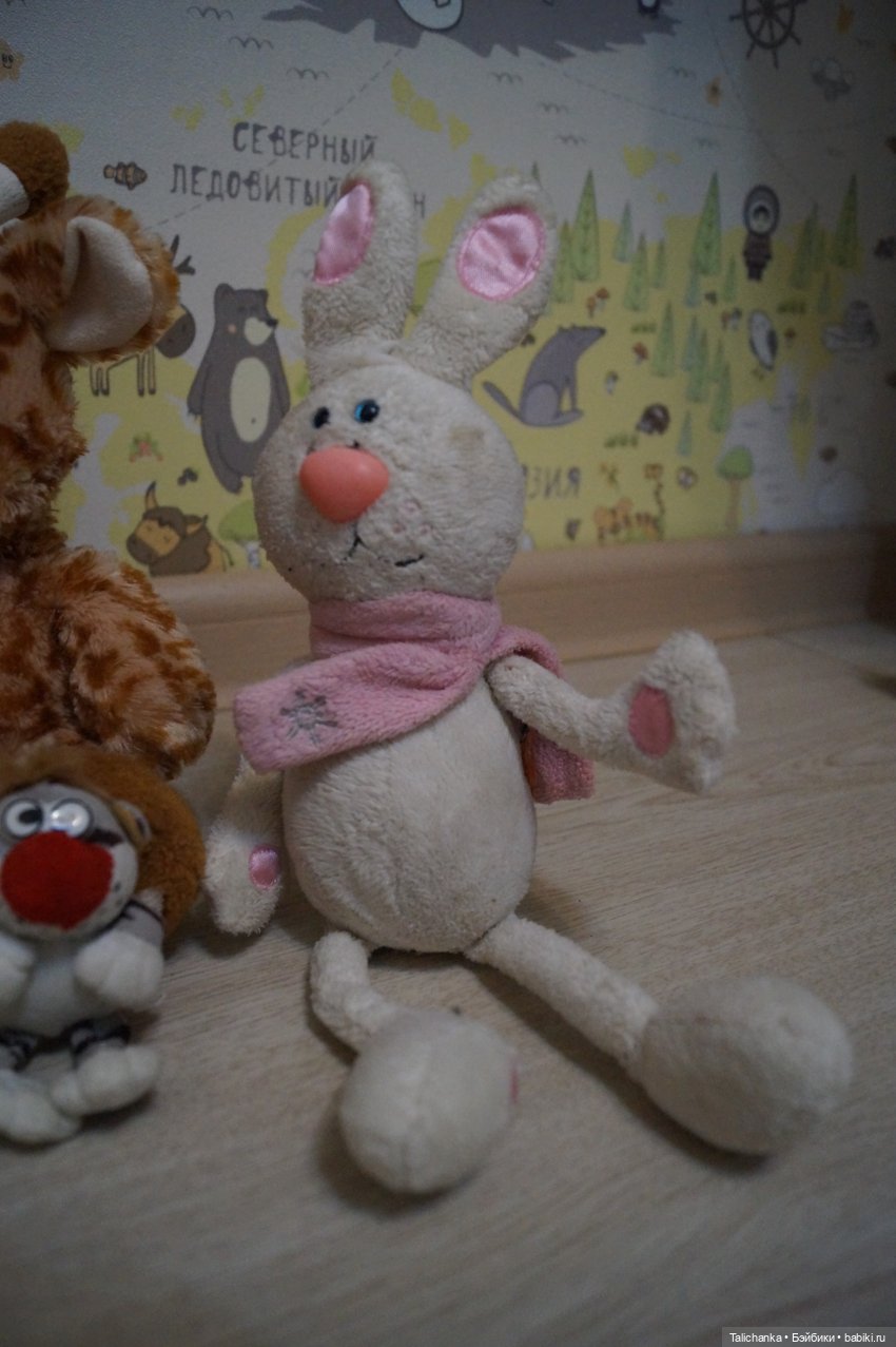 Вторая выписка декабря Санаторий для деда Мороза и Снегурочки У Мирона появилась младшая сестра Из головы создали звезду