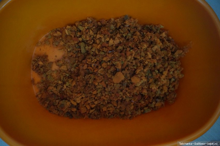 Пятая выписка декабря Новогодний герой Снеговик обрёл голову Котик спел 6 песен Гусар Мышонок заблистал новым мундиром