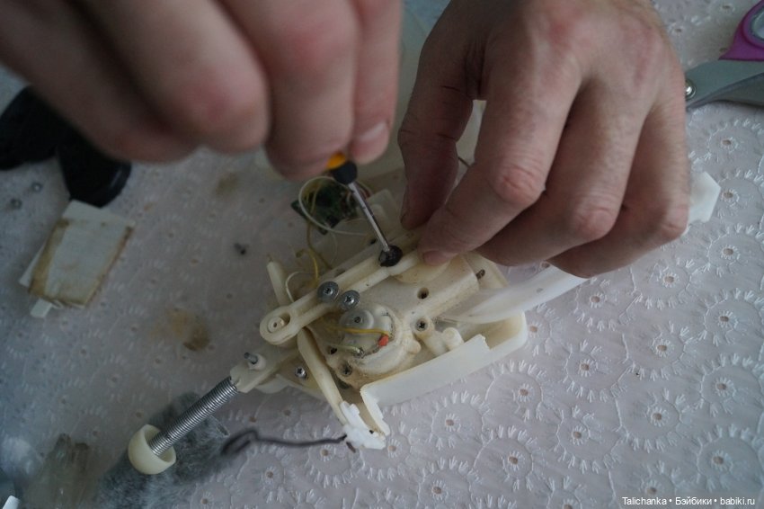 Пятая выписка декабря Новогодний герой Снеговик обрёл голову Котик спел 6 песен Гусар Мышонок заблистал новым мундиром