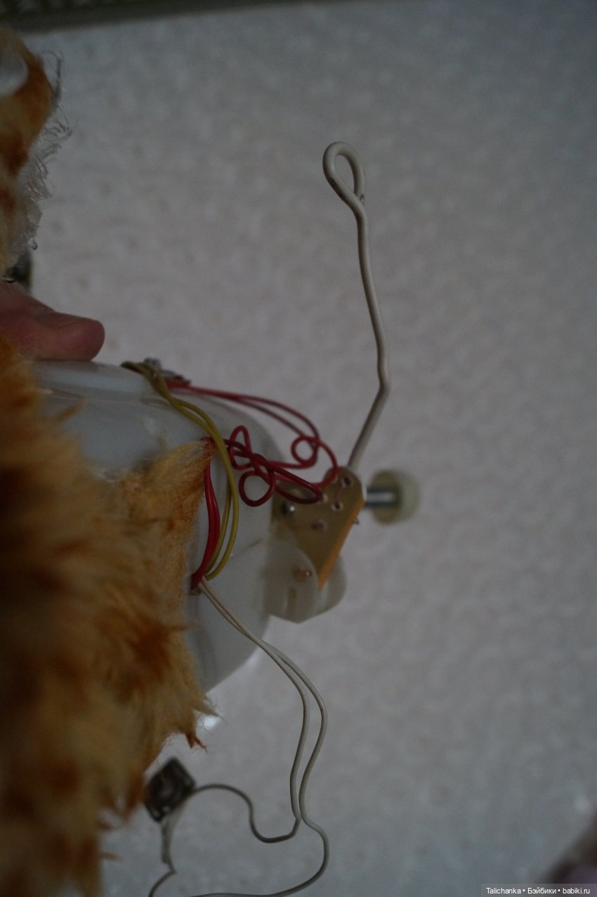 Пятая выписка декабря Новогодний герой Снеговик обрёл голову Котик спел 6 песен Гусар Мышонок заблистал новым мундиром