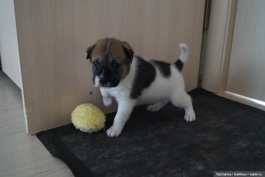 Приглашаю на распаковку — Игрушки СССР и советского детства: резиновые