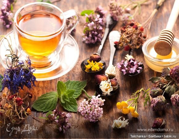 Первая выписка февраля Санаторно-курортная Отмываем очищаем меняем батарейки причёсываем наряжаем (фото 2)