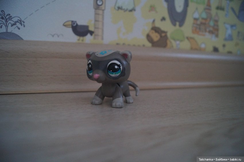 Первая выписка февраля Санаторно-курортная Отмываем очищаем меняем батарейки причёсываем наряжаем