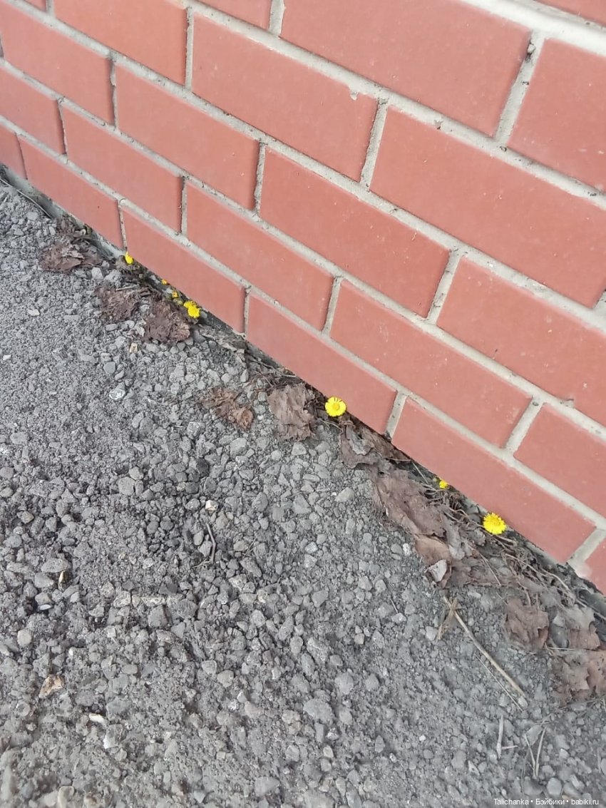 Четвёртая выписка марта Клеим рану на лбу Частичная допрошивка Отмываем малышку Полная прошивка очередной Лолиты | Бэйбики Четвёртая выписка марта Клеим рану на лбу Частичная допрошивка Отмываем малышку Полная прошивка очередной Лолиты