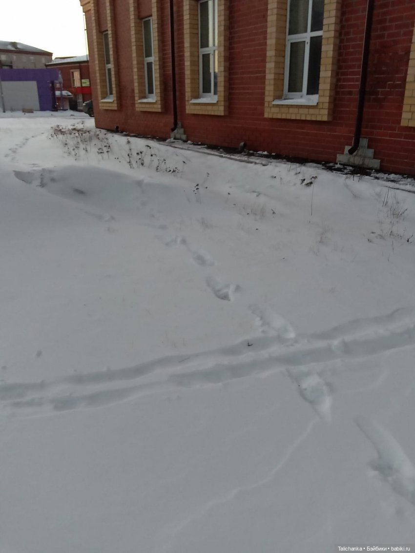 Четвёртая выписка марта Клеим рану на лбу Частичная допрошивка Отмываем малышку Полная прошивка очередной Лолиты | Бэйбики Четвёртая выписка марта Клеим рану на лбу Частичная допрошивка Отмываем малышку Полная прошивка очередной Лолиты (фото 2)