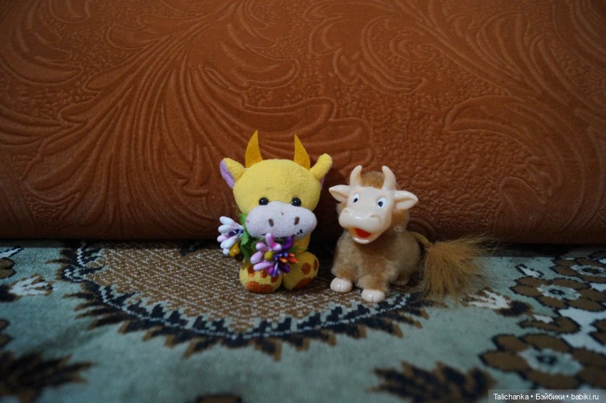 Третья выписка июня Мончичи снова с лапками Малышам отстирала тряпичные тела Бычок прозрел