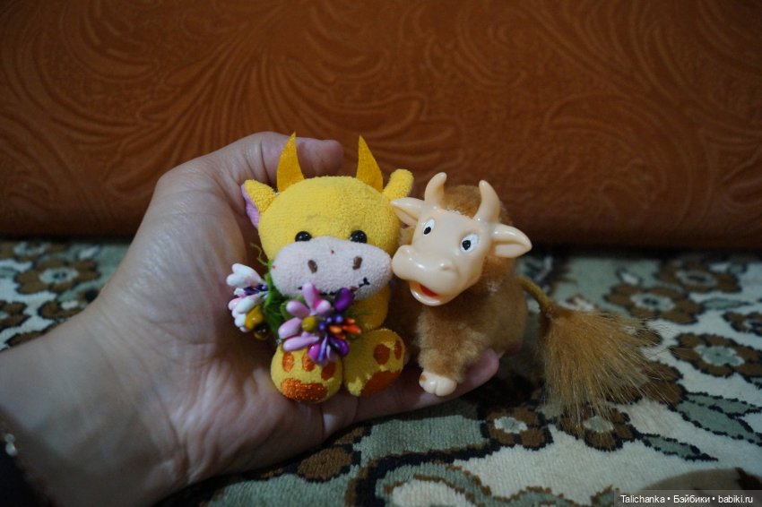 Третья выписка июня Мончичи снова с лапками Малышам отстирала тряпичные тела Бычок прозрел