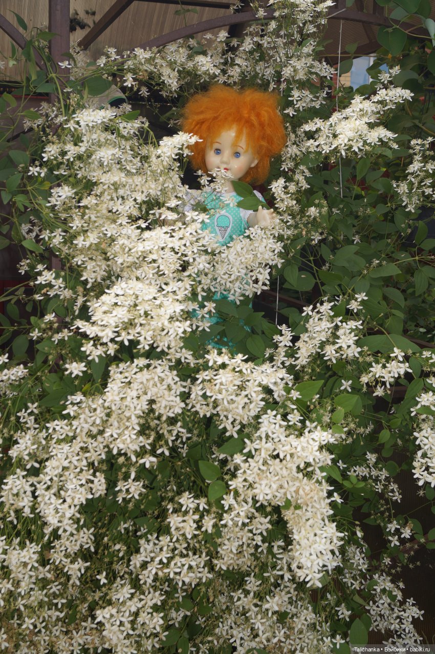 Новый наряд Василисы — Советские винтажные куклы (СССР): Ленигрушка