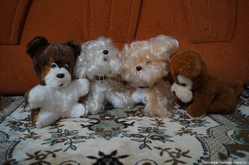 Первая выписка августа Как свалявшийся кудрявый мех привести в состояние нового Потерялись ручки у Гали АСКИМ лепим из