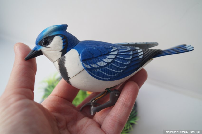 Вторая выписка февраля Переобуваем мягкую девочку Ремонт поющей сойки Выводим розовые пятна на пупсике Восстановление