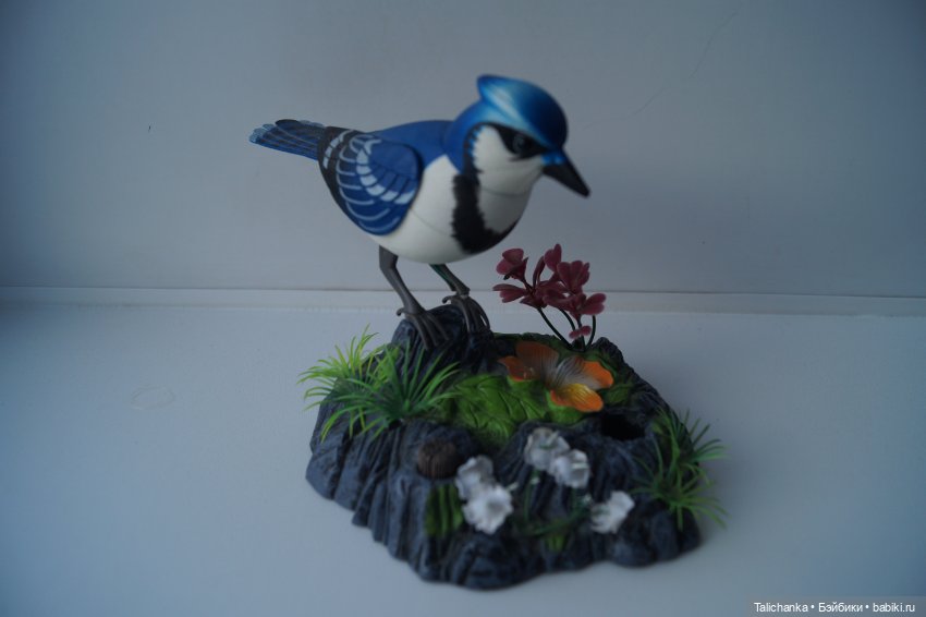 Вторая выписка февраля Переобуваем мягкую девочку Ремонт поющей сойки Выводим розовые пятна на пупсике Восстановление