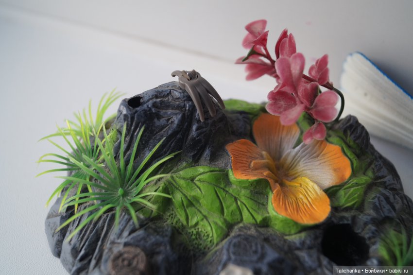 Вторая выписка февраля Переобуваем мягкую девочку Ремонт поющей сойки Выводим розовые пятна на пупсике Восстановление