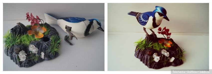 Вторая выписка февраля Переобуваем мягкую девочку Ремонт поющей сойки Выводим розовые пятна на пупсике Восстановление