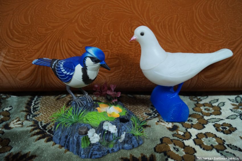 Вторая выписка февраля Переобуваем мягкую девочку Ремонт поющей сойки Выводим розовые пятна на пупсике Восстановление