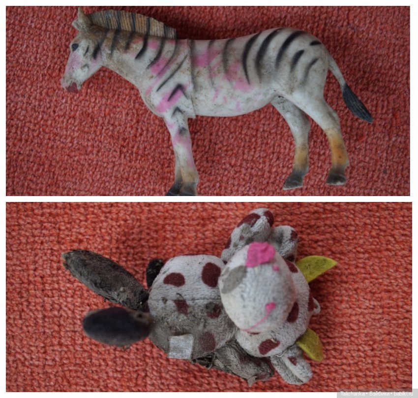 Первая майская выписка Полная прошивка кудряшками Ремонт тазобедренного сустава Варка белого пупса (фото 4)