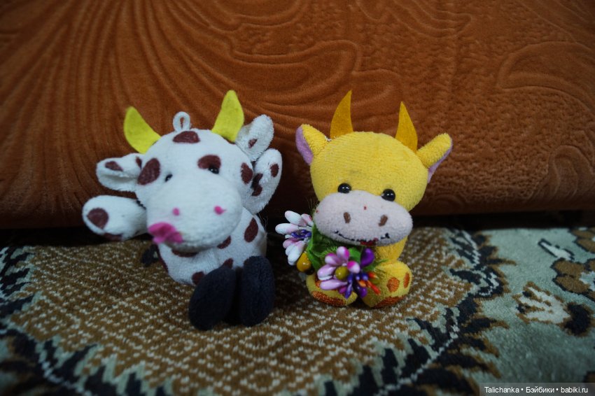 Первая майская выписка Полная прошивка кудряшками Ремонт тазобедренного сустава Варка белого пупса