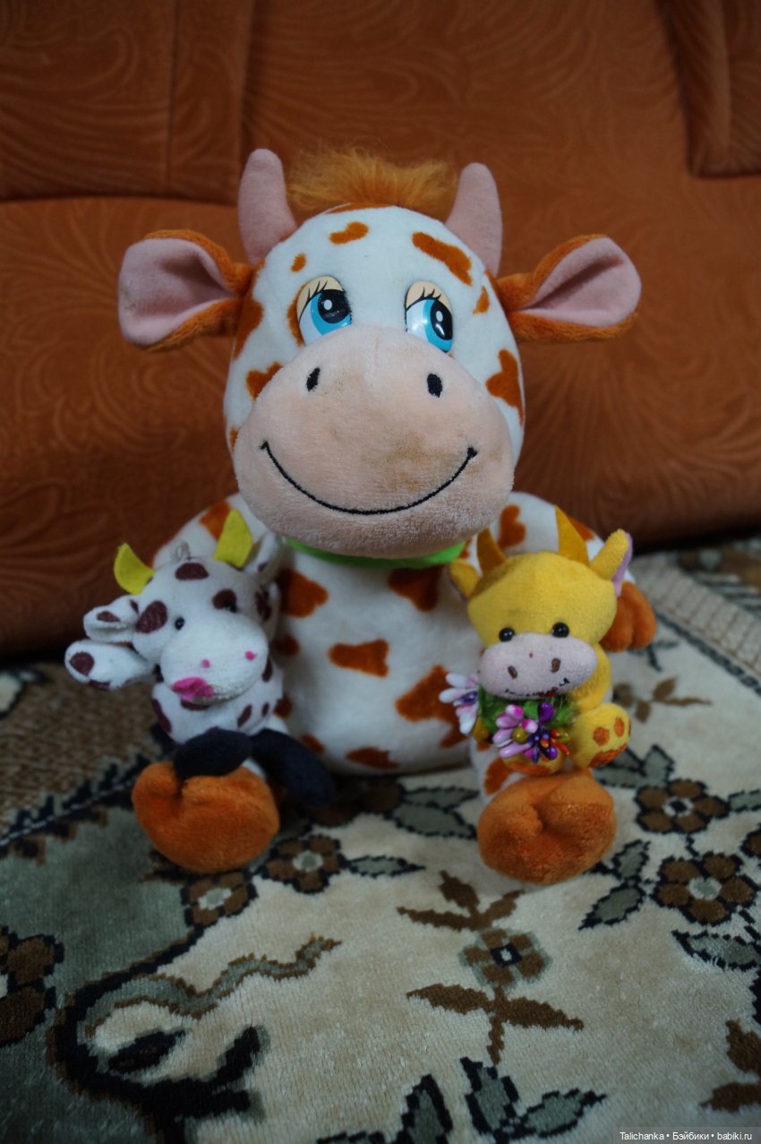 Первая майская выписка Полная прошивка кудряшками Ремонт тазобедренного сустава Варка белого пупса