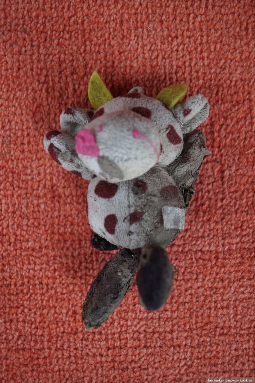 Первая майская выписка Полная прошивка кудряшками Ремонт тазобедренного сустава Варка белого пупса