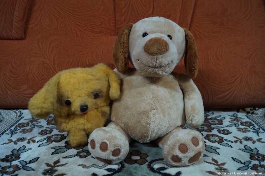 Третья майская выписка Три полных прошивки Саратовская девочка обрела зрение Ивановская куколка стала кудрявой Пчёлка Майя