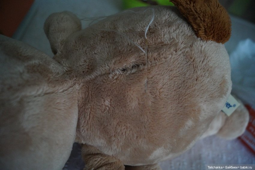 Третья майская выписка Три полных прошивки Саратовская девочка обрела зрение Ивановская куколка стала кудрявой Пчёлка Майя