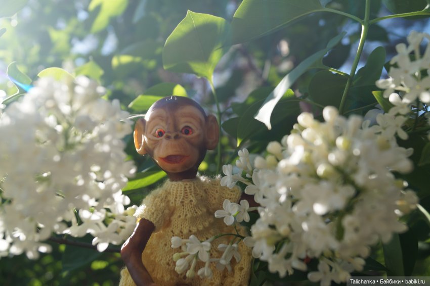 Четвёртая выписка мая - необычная Рождение малышей Отчётный концерт проекта Две звезды