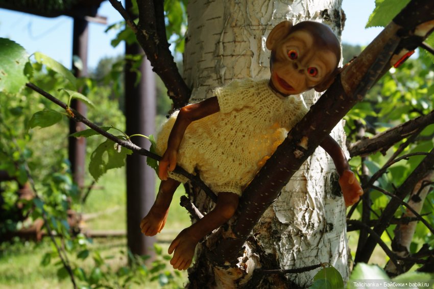 Четвёртая выписка мая - необычная Рождение малышей Отчётный концерт проекта Две звезды