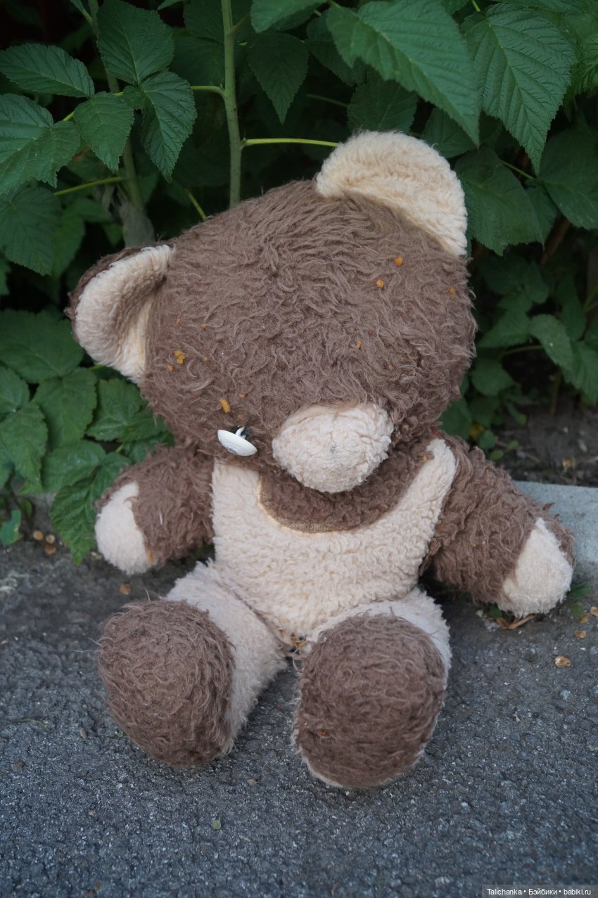 Вторая выписка июня Собрались куколки из разных посылок Мишеньке вернула зрение и мягкость шубки Рождение ДенискиКругозор