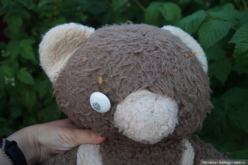 Вторая выписка июня Собрались куколки из разных посылок Мишеньке вернула зрение и мягкость шубки Рождение ДенискиКругозор